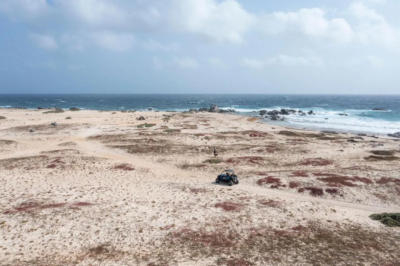 Отель Marriott'S Aruba Ocean Club Палм Бич